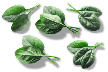 Fresh spinach leaves Spinacia oleracea top view isolated png - obrazy, fototapety, plakaty
