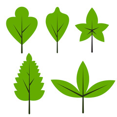 leaves vector