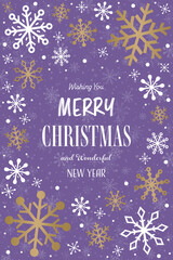 Fototapeta na wymiar Shiny Christmas snowflakes. Concept of a greeting card. Vector illustration