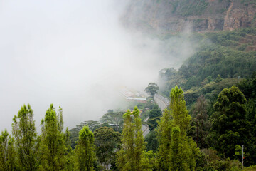 Nube que tapa el bosque en la montaña