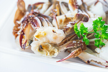 渡り蟹の断面アップ