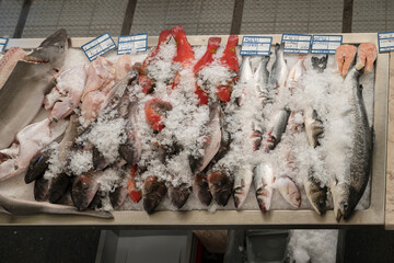 ice on heap of fish at covered market, Funchal, Madeira