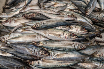 bunch of sardine at covered market, Funchal, Madeira