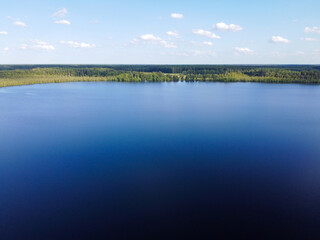 Lake water and green forest trees, aerial view. Summer landscape, beautiful nature, sunny day