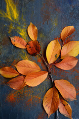 vertical composition. Autumn foliage in the form of a bird on a dark blue background