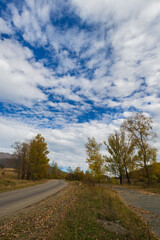 Fototapeta na wymiar Fabulous autumnal scene with trees and cloudy sky, Armenia
