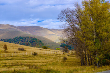 Fototapeta premium Fabulous autumn landscape with trees and mountains, Armenia 