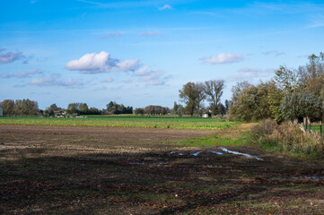 Dirty agriculture fields and soil with trees and blue sky at the Flemish countryside near Aalst, Belgium