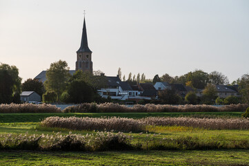 View over the River Scheldt, vegetation and the village in the background, Berlare, Belgium