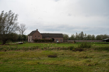 Fototapeta na wymiar Farmhouse and green lawn at the Flemish countryside around Wichelen, Belgium