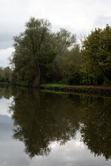 Fototapeta na wymiar Trees reflecting in the water of the River Dender, Erembodegem, Belgium