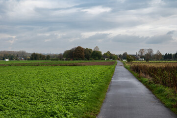 Fototapeta na wymiar Ternat, Flemish Brabant Region, Belgium - Biking trail through the fields at the Flemish countryside