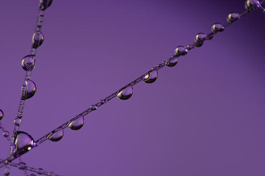 Krople wody