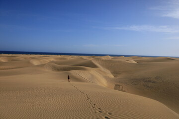 Fototapeta na wymiar The Maspalomas dunes are sand dunes located on the southern coast of the island of Gran Canaria in the Canary Islands