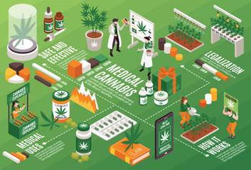 Cannabis Horizontal Infographics Illustration