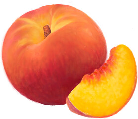 Peach illustration drawing