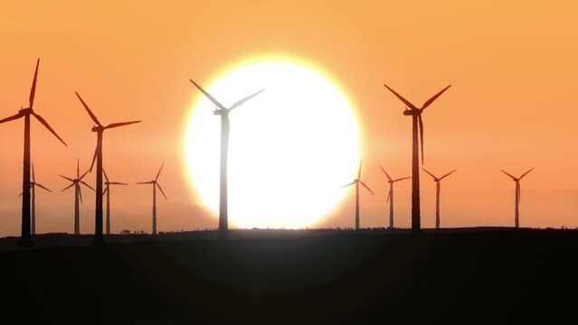 Wind turbine farm in front of rising sun