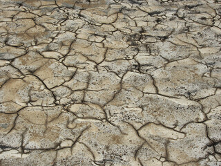 The landscape, the dried-up shore of a salt lake cracked under the rays of the scorching sun. Wildlife, the concept of tourism, recreation and travel.