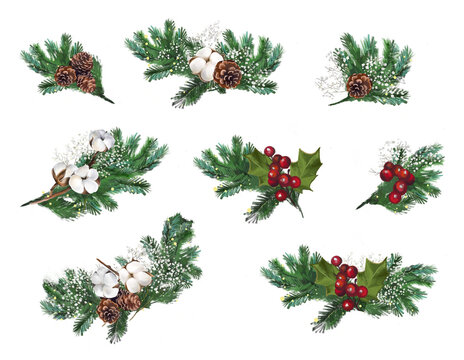 Fir branches, christmas clipart, tree decoration, fer cones, pine, ilex, cotton. isolated on white. Png format.