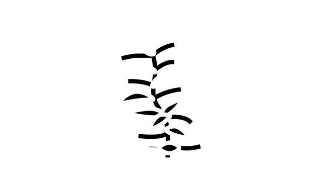 hydrophilia polyspermy glyph icon animation