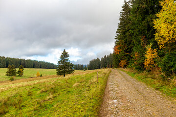 Fototapeta na wymiar Herbstliche Entdeckungstour durch den Thüringer Wald bei Steinbach-Hallenberg - Thüringen