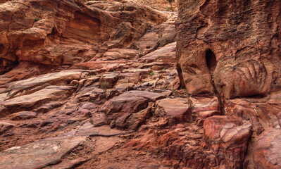 Rocky wall with smooth red stones, few green plants and bushes - typical landscape at Petra, Jordan