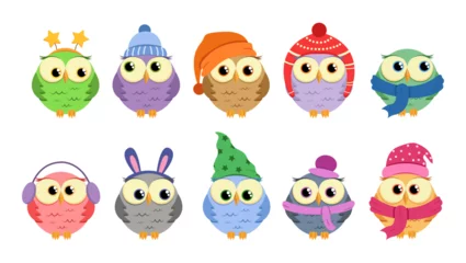 Fotobehang Collection of Christmas owls in cartoon style. Cute owls in flat style © Alina Lisnycha
