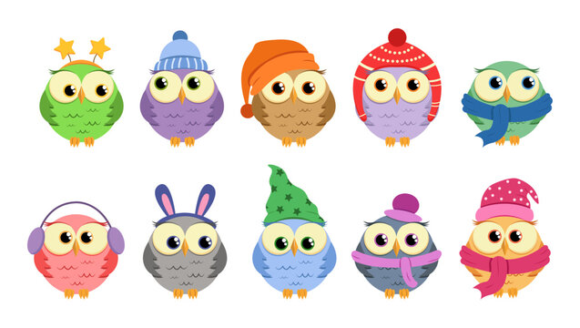 Collection of Christmas owls in cartoon style. Cute owls in flat style