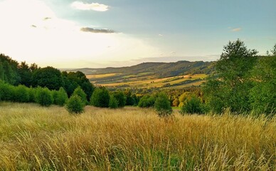 Obraz premium View of the Jeleniogorska Valley. Sunset in the mountains. Yellow grasses and green trees against the background of the mountains