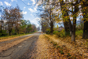Fototapeta na wymiar Multicolor autumn trees in the Vanadzor 