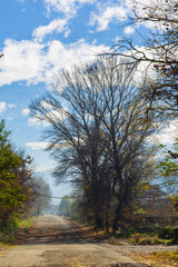Fototapeta premium Multicolor autumn trees in the Vanadzor 