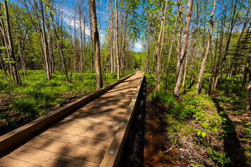 St. Peter's Dome State Natural Area