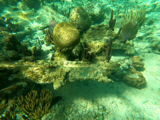 Sunken ship under the sea. Beautifiul underwater colorful coral reef at Caribbean Sea at Honeymoon Beach on St. Thomas, USVI - travel concept