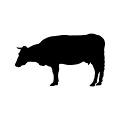 cow silhouette - vector illustration