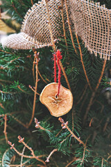 Decorating Christmas tree with dried piece apple with red ribbon. Natural DIY ornaments for Christmas tree, zero waste Christmas, soft focus