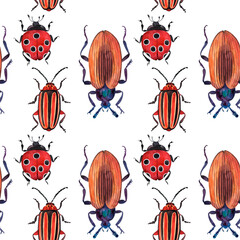 Naklejka premium Watercolor seamless pattern of beetles, red ladybug yellow, black and blue beetles, decorative insects.