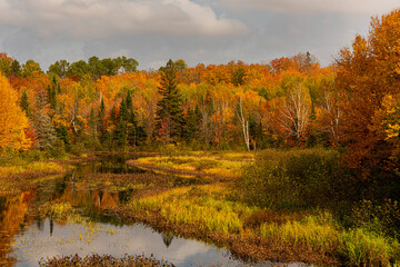 Northwoods Fall Color
