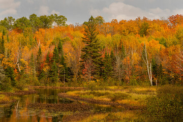 Northwoods Fall Color