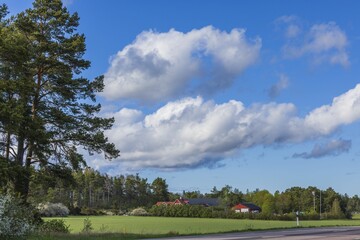 Beautiful view of landscape of nature with villas on edge of forest along highway against blue sky with white clouds. Sweden.