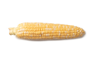 Yellow corn isolated on white background. Copyspace.