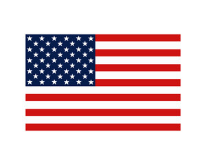 National symbol of the USA flag, ovector illustration