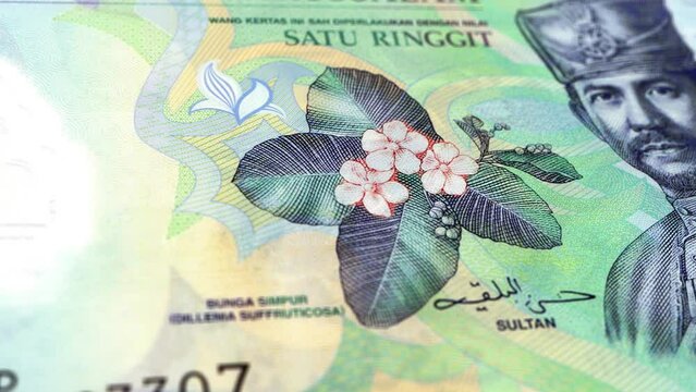 Brunei Brunei Dollar 1 Banknotes, One Brunei Dollar, Close-up and macro view of the Brunei Dollar, Tracking and Dolly Shots 1 Brunei Dollar banknote Observe and Reserve Side, Brunei Dollar Money