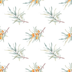 Pattern with orange sea buckthorn. Sea buckthorn for healthy life and design background. Hand painted. Botanical natural. Seamless pattern, an illustration for postcards, posters, textile design.
