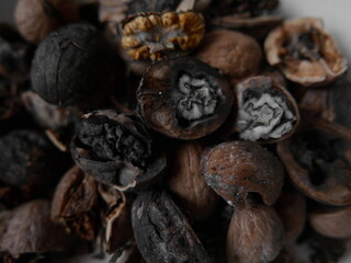 Broken black walnuts inside close-up