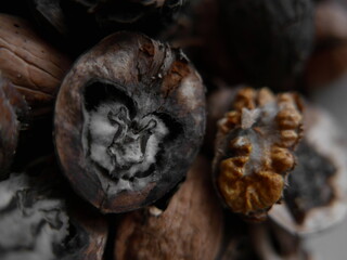 Broken black walnuts inside close-up