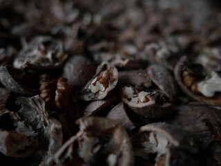 Broken black walnuts inside close-up