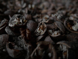 Broken black walnuts inside close-up