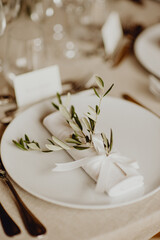 Fototapeta na wymiar Branche d'olivier pour décorer la table de mariage