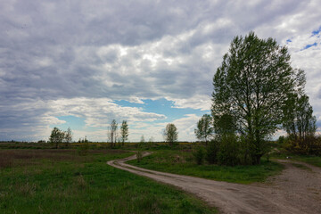 Path at the field under the scenic cloudy sky