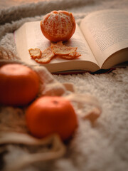 book with a mandarines - obrazy, fototapety, plakaty